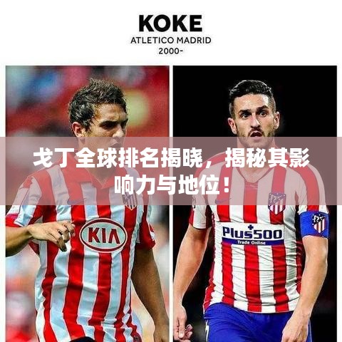 戈丁全球排名揭晓，揭秘其影响力与地位！