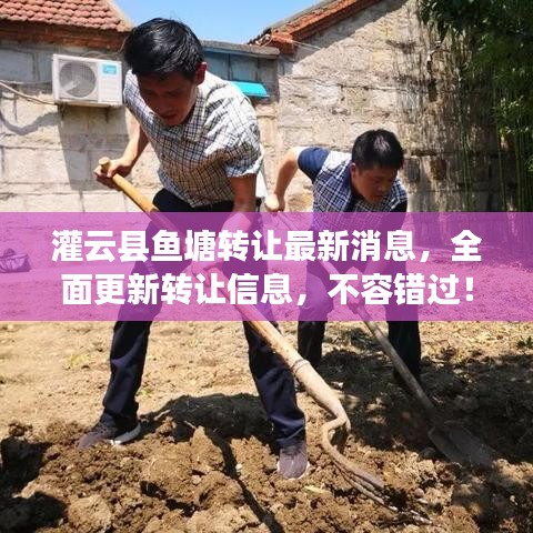 灌云县鱼塘转让最新消息，全面更新转让信息，不容错过！