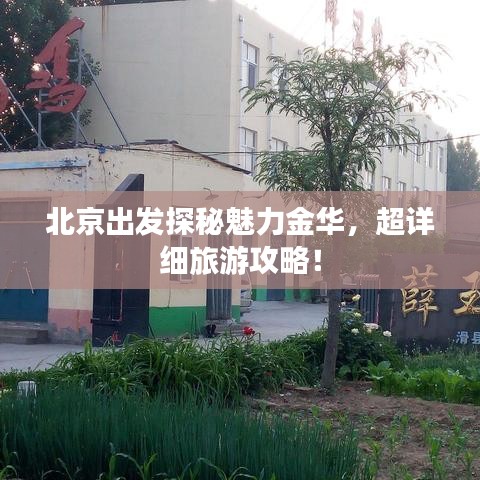 北京出发探秘魅力金华，超详细旅游攻略！