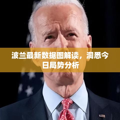 波兰最新数据图解读，洞悉今日局势分析