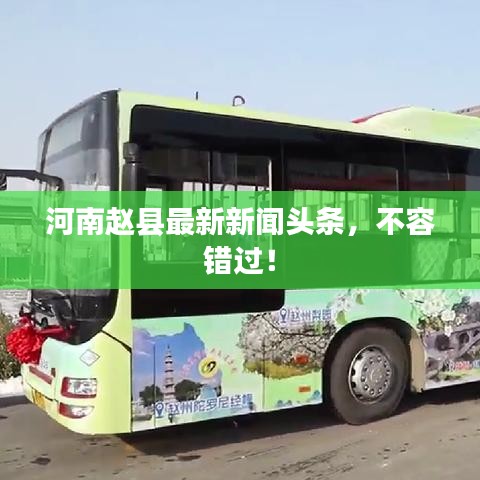 河南赵县最新新闻头条，不容错过！