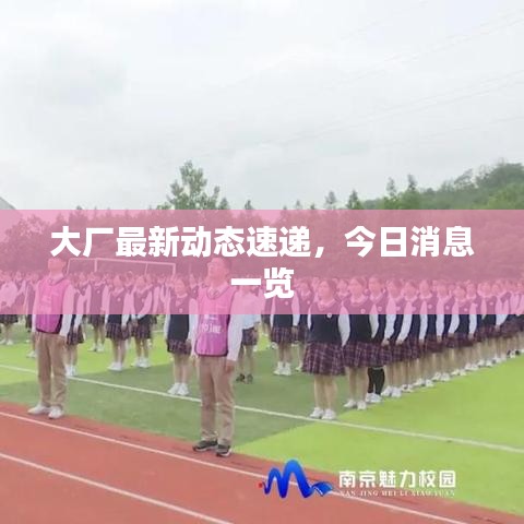 大厂最新动态速递，今日消息一览
