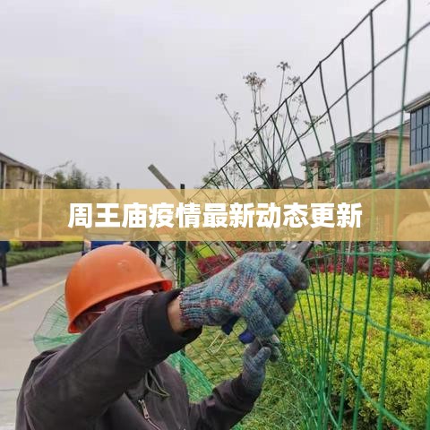 周王庙疫情最新动态更新