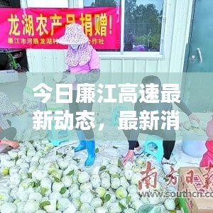 今日廉江高速最新动态，最新消息一览