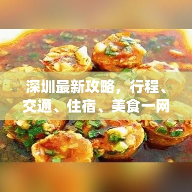 深圳最新攻略，行程、交通、住宿、美食一网全览