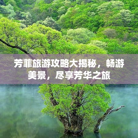 芳菲旅游攻略大揭秘，畅游美景，尽享芳华之旅