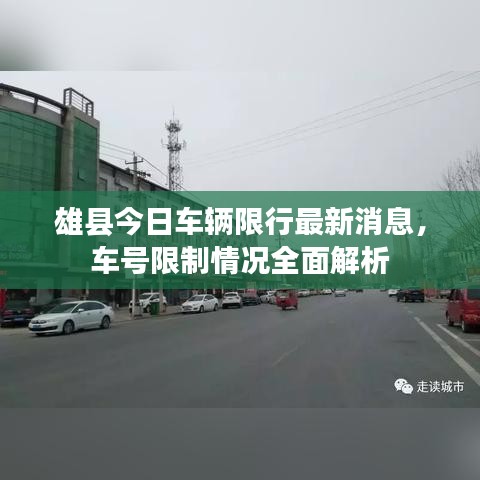 雄县今日车辆限行最新消息，车号限制情况全面解析