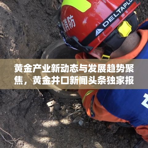 黄金产业新动态与发展趋势聚焦，黄金井口新闻头条独家报道