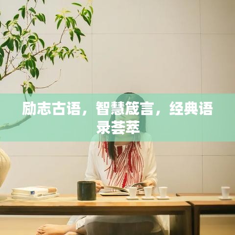 破马张飞