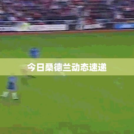 今日桑德兰动态速递