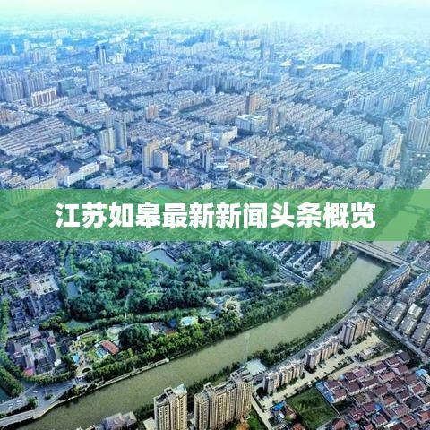 江苏如皋最新新闻头条概览
