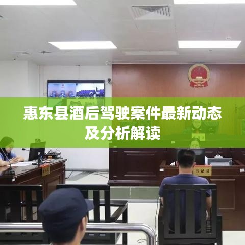 惠东县酒后驾驶案件最新动态及分析解读