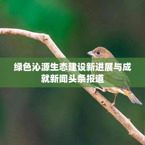 绿色沁源生态建设新进展与成就新闻头条报道