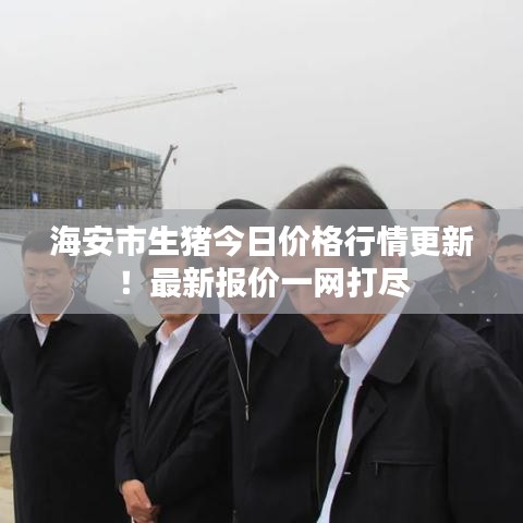 海安市生猪今日价格行情更新！最新报价一网打尽