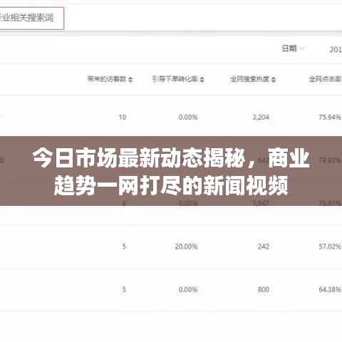 今日市场最新动态揭秘，商业趋势一网打尽的新闻视频