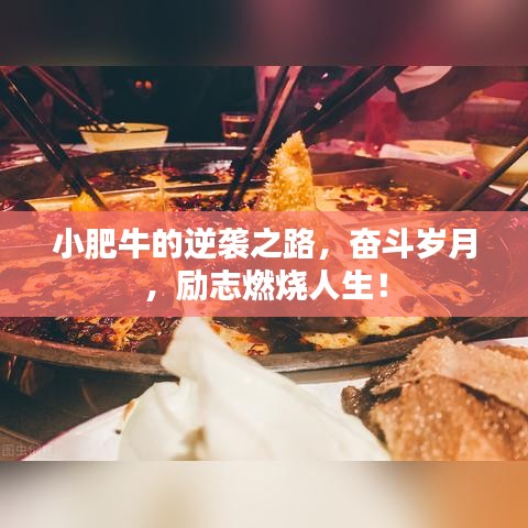 技术支持 第22页