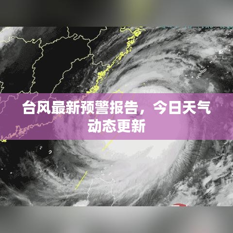 台风最新预警报告，今日天气动态更新