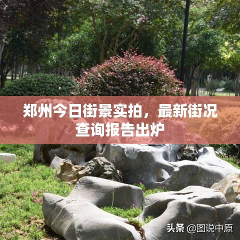郑州今日街景实拍，最新街况查询报告出炉