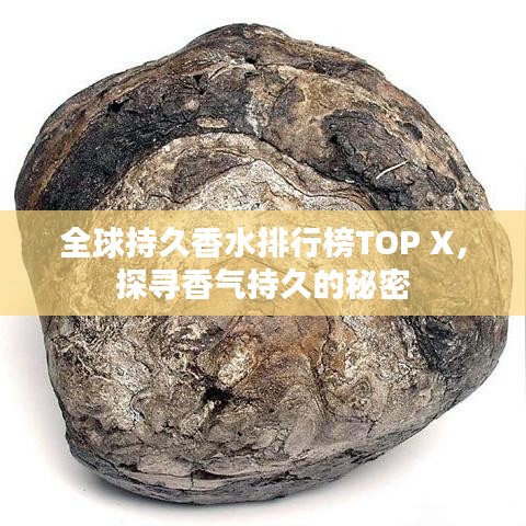 全球持久香水排行榜TOP X，探寻香气持久的秘密