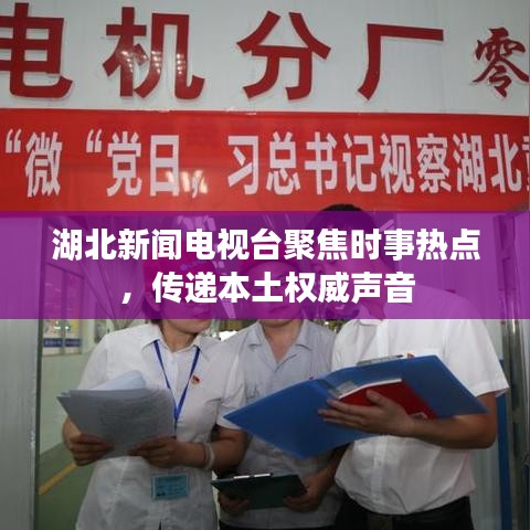 飞扬拨扈