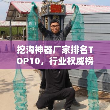 豪门贵胄
