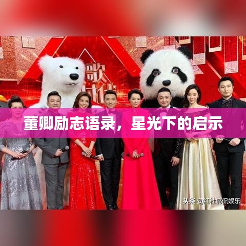 董卿励志语录，星光下的启示