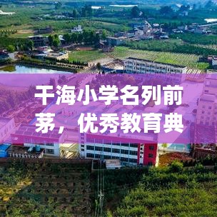 干海小学名列前茅，优秀教育典范展现风采