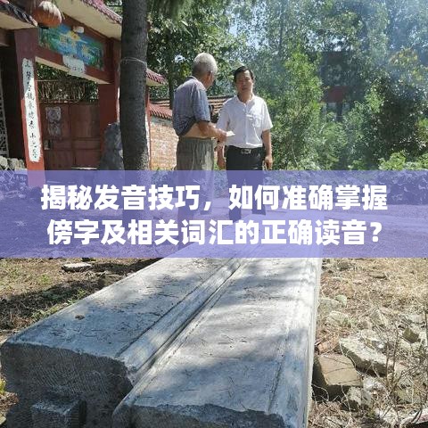 揭秘发音技巧，如何准确掌握傍字及相关词汇的正确读音？