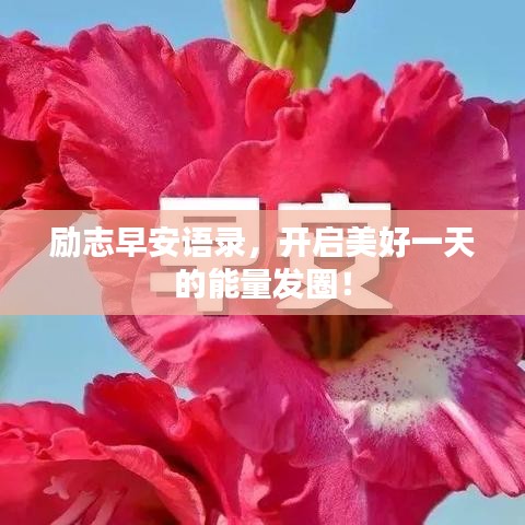 将机就机