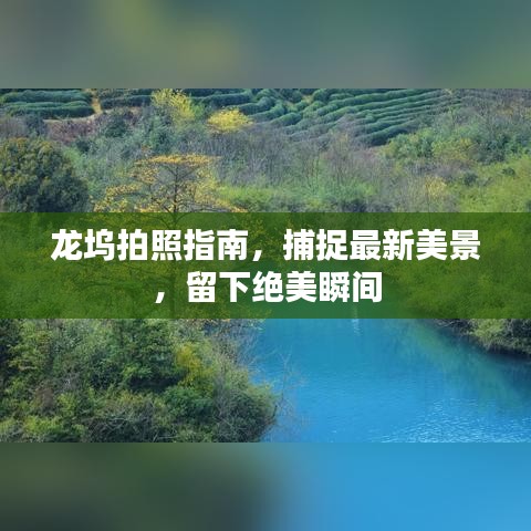 龙坞拍照指南，捕捉最新美景，留下绝美瞬间