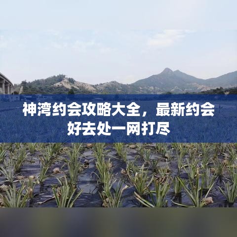 张弓挟矢