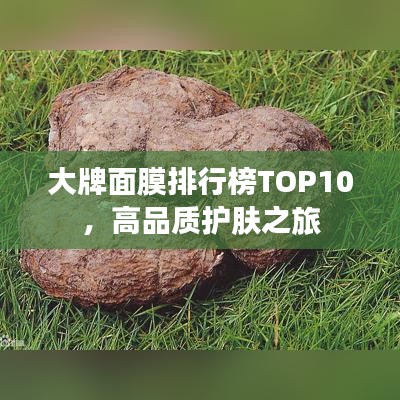 大牌面膜排行榜TOP10，高品质护肤之旅