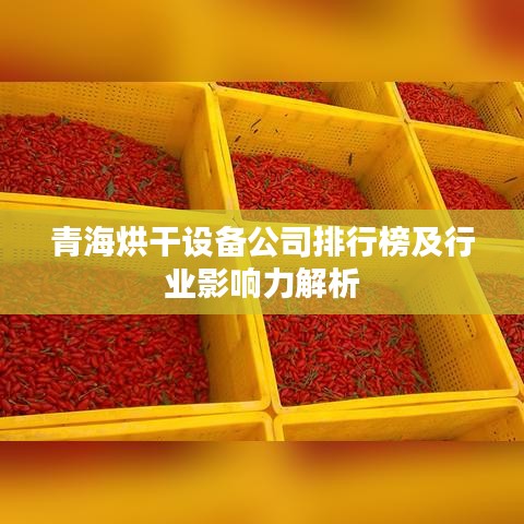 青海烘干设备公司排行榜及行业影响力解析