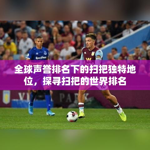 全球声誉排名下的扫把独特地位，探寻扫把的世界排名