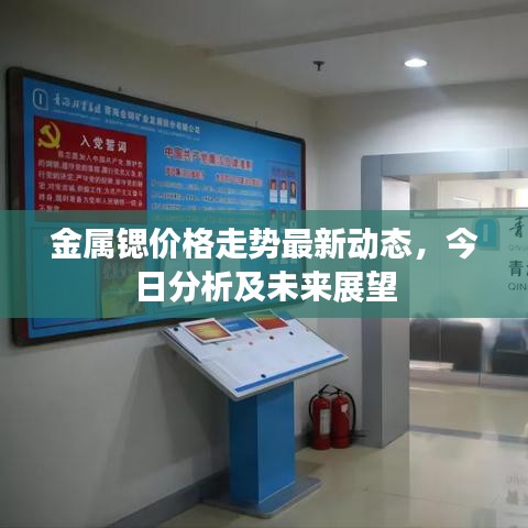 金属锶价格走势最新动态，今日分析及未来展望