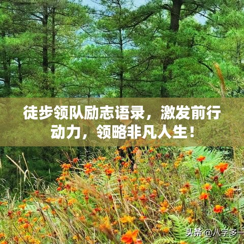 鸷鸟不群