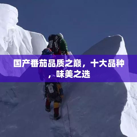 常见问题 第17页