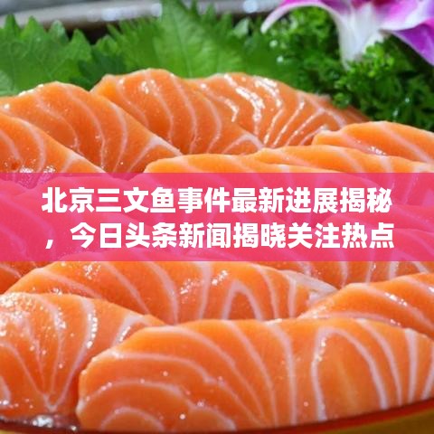 北京三文鱼事件最新进展揭秘，今日头条新闻揭晓关注热点