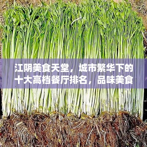 江阴美食天堂，城市繁华下的十大高档餐厅排名，品味美食之旅
