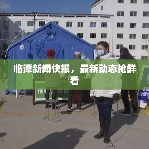 临潭新闻快报，最新动态抢鲜看