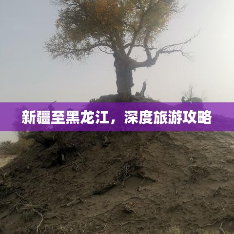 新疆至黑龙江，深度旅游攻略