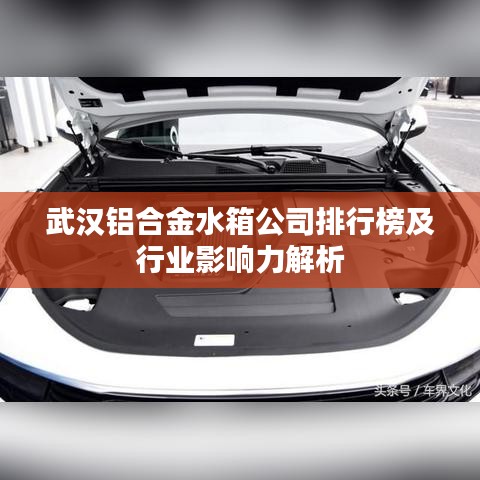 武汉铝合金水箱公司排行榜及行业影响力解析