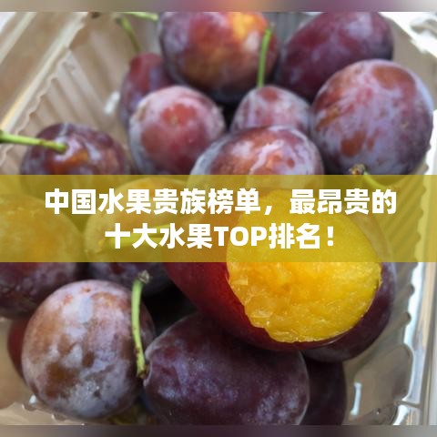 比翼鸟