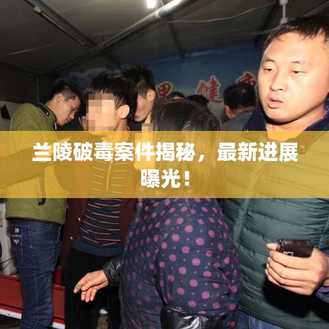 张张屈屈