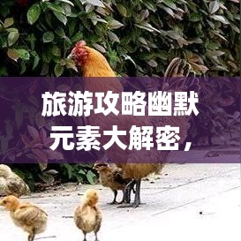 旅游攻略幽默元素大解密，玩转旅行，笑翻路途！