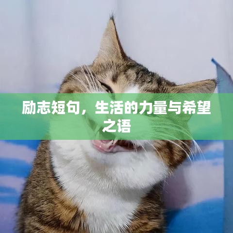 励志短句，生活的力量与希望之语
