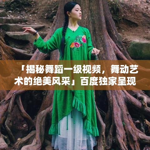「揭秘舞蹈一级视频，舞动艺术的绝美风采」百度独家呈现
