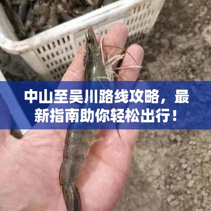 中山至吴川路线攻略，最新指南助你轻松出行！