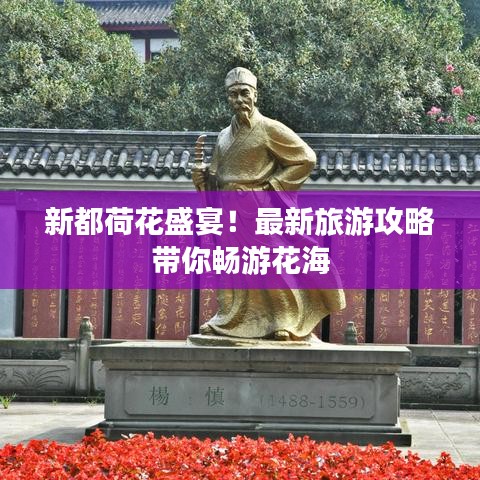 新都荷花盛宴！最新旅游攻略带你畅游花海