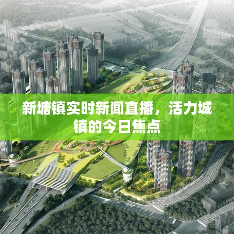 新塘镇实时新闻直播，活力城镇的今日焦点